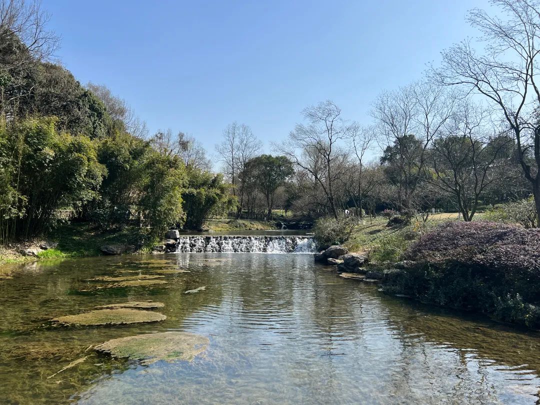 春日踏青,与女神共赴一场粉色的约会-23