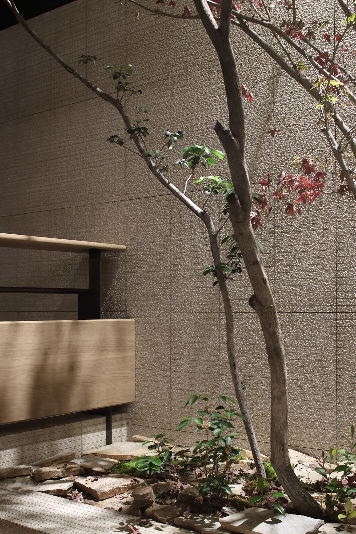 驯·烘焙丨中国福州丨WWD.一横一竖设计-79