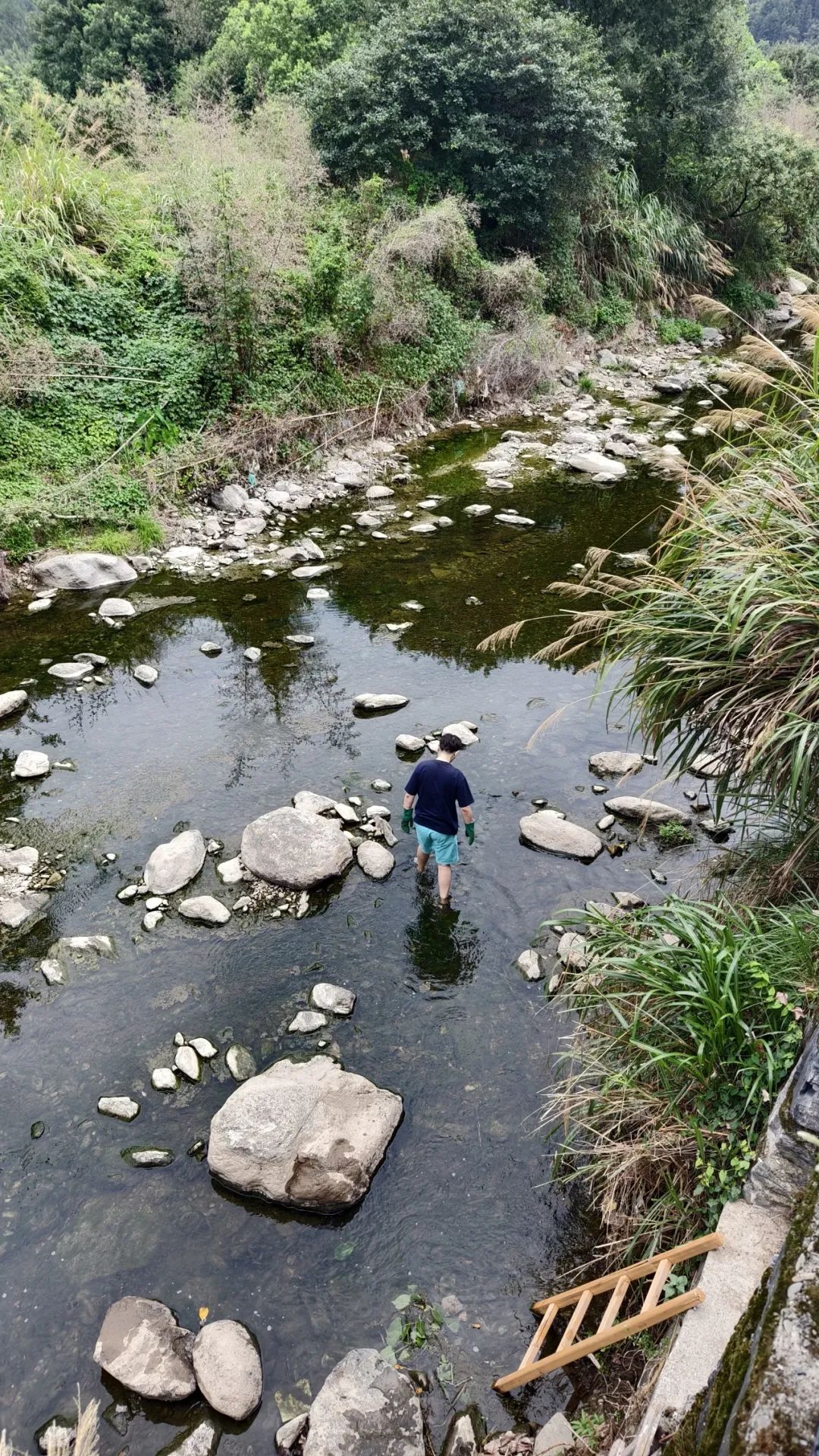有时碧山民宿丨中国黄山丨上海新外建工程设计与顾问有限公司-45