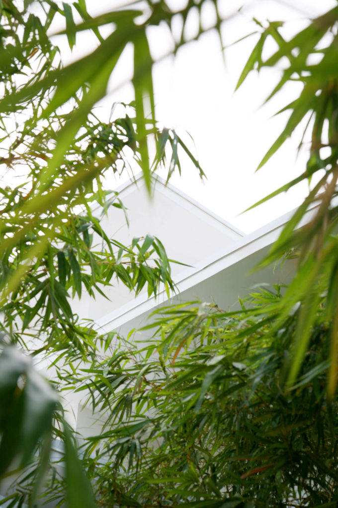 Grand Cayman Residence | Kurisu International-18