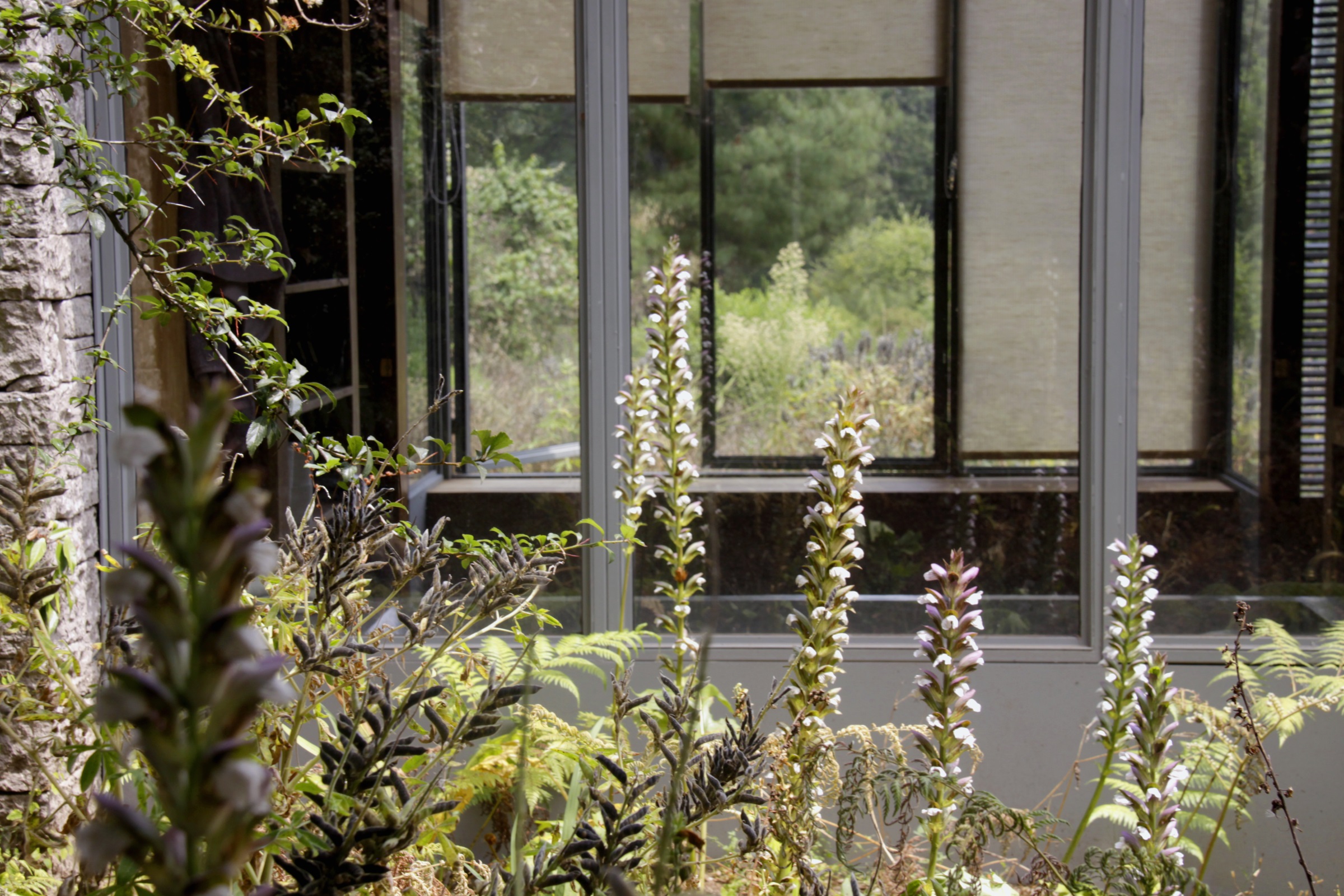 草甸景观设计-7