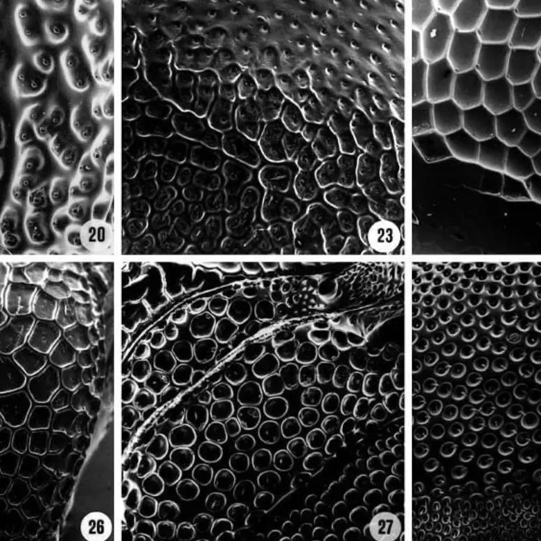 数字未来 2020 全球抗疫公益数字工作营全导师阵容揭晓！-259