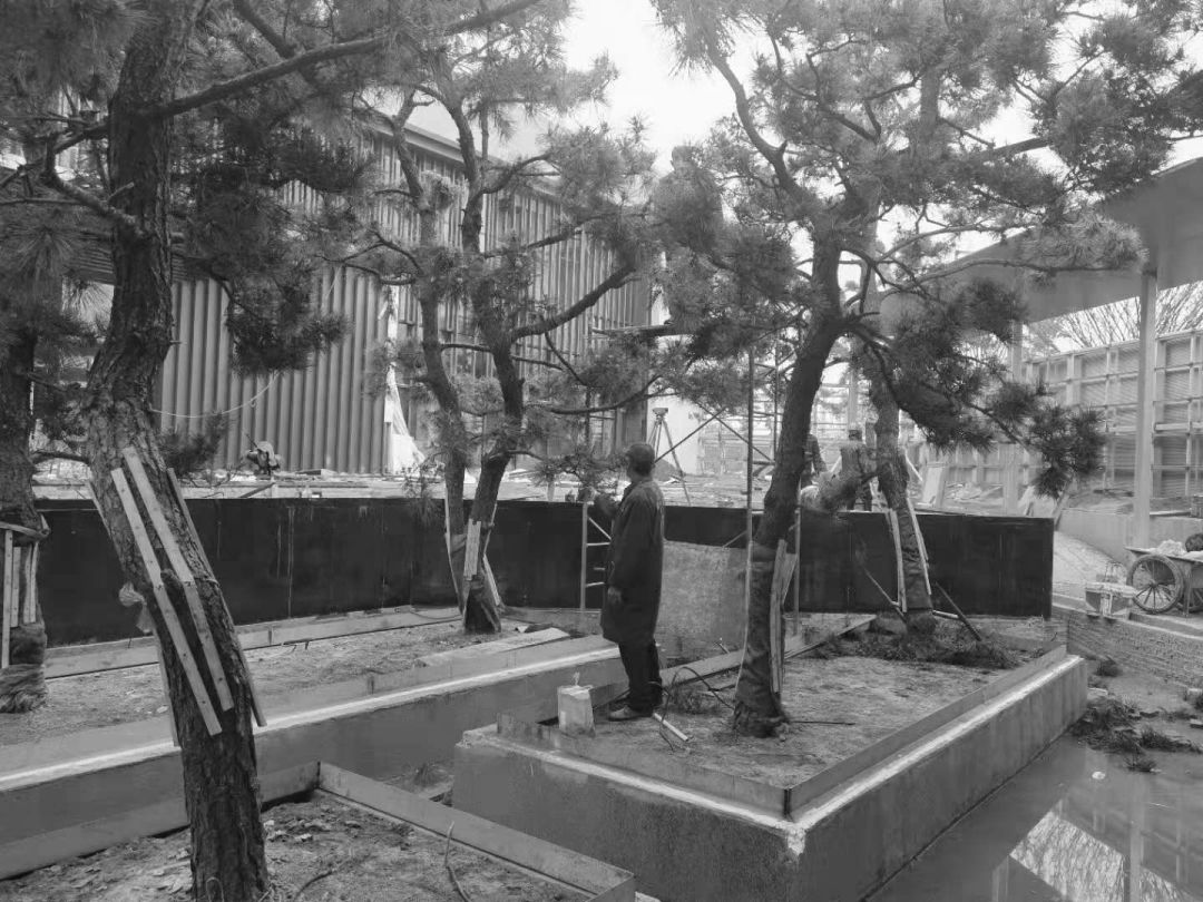 觅·无尽之境│泰州中南·君启-81