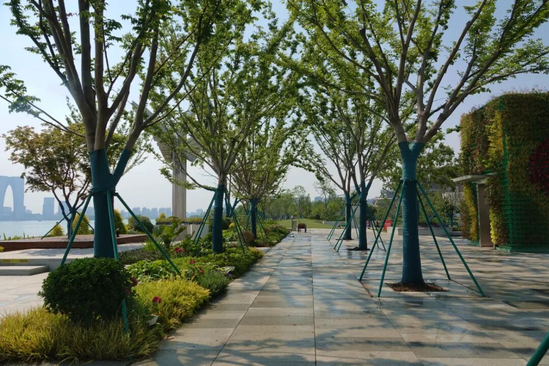 金鸡湖右岸城市客厅亮相！苏州新地标抢先看→-24