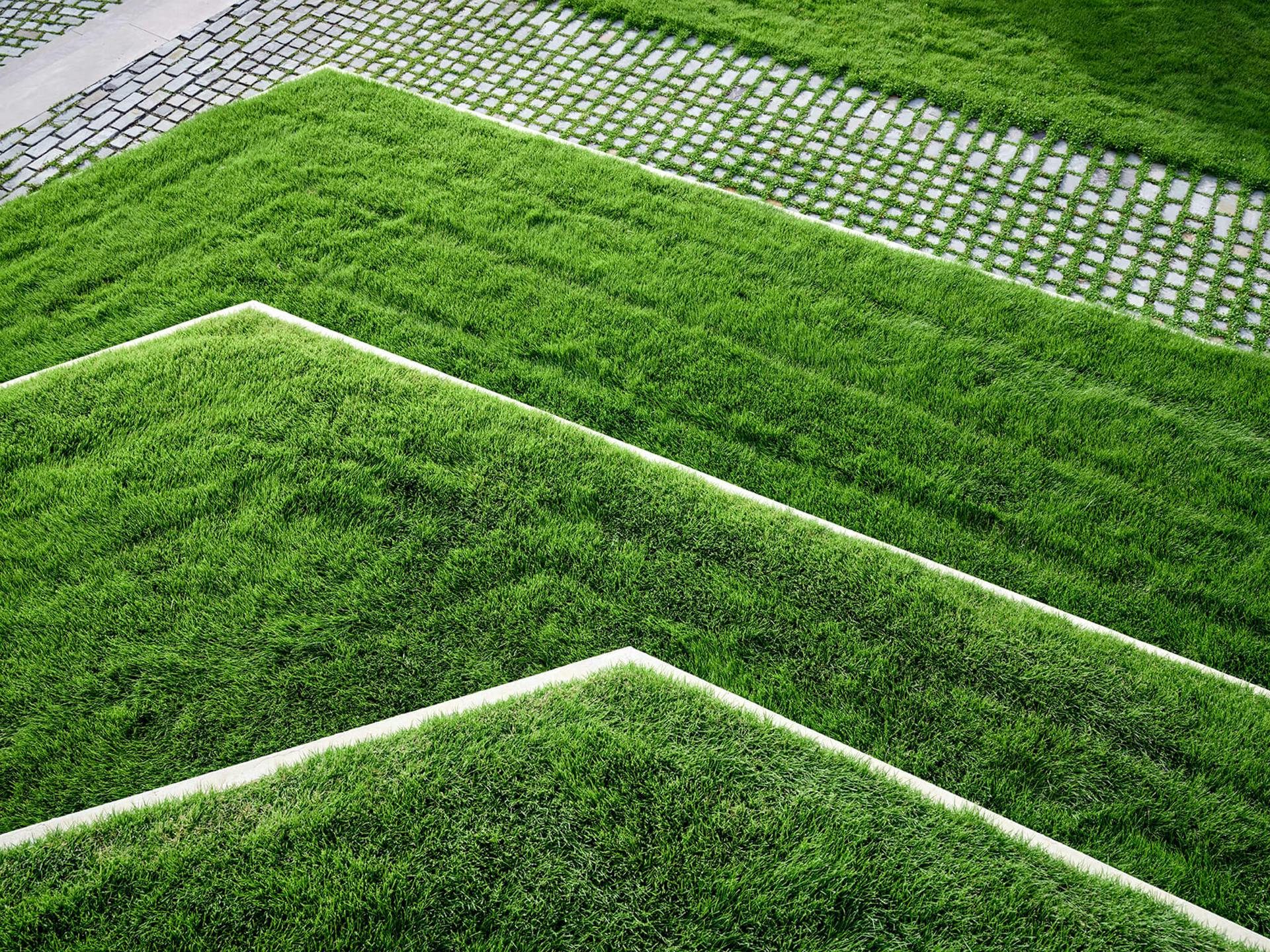 新月丨美国达拉斯丨HOCKER-59