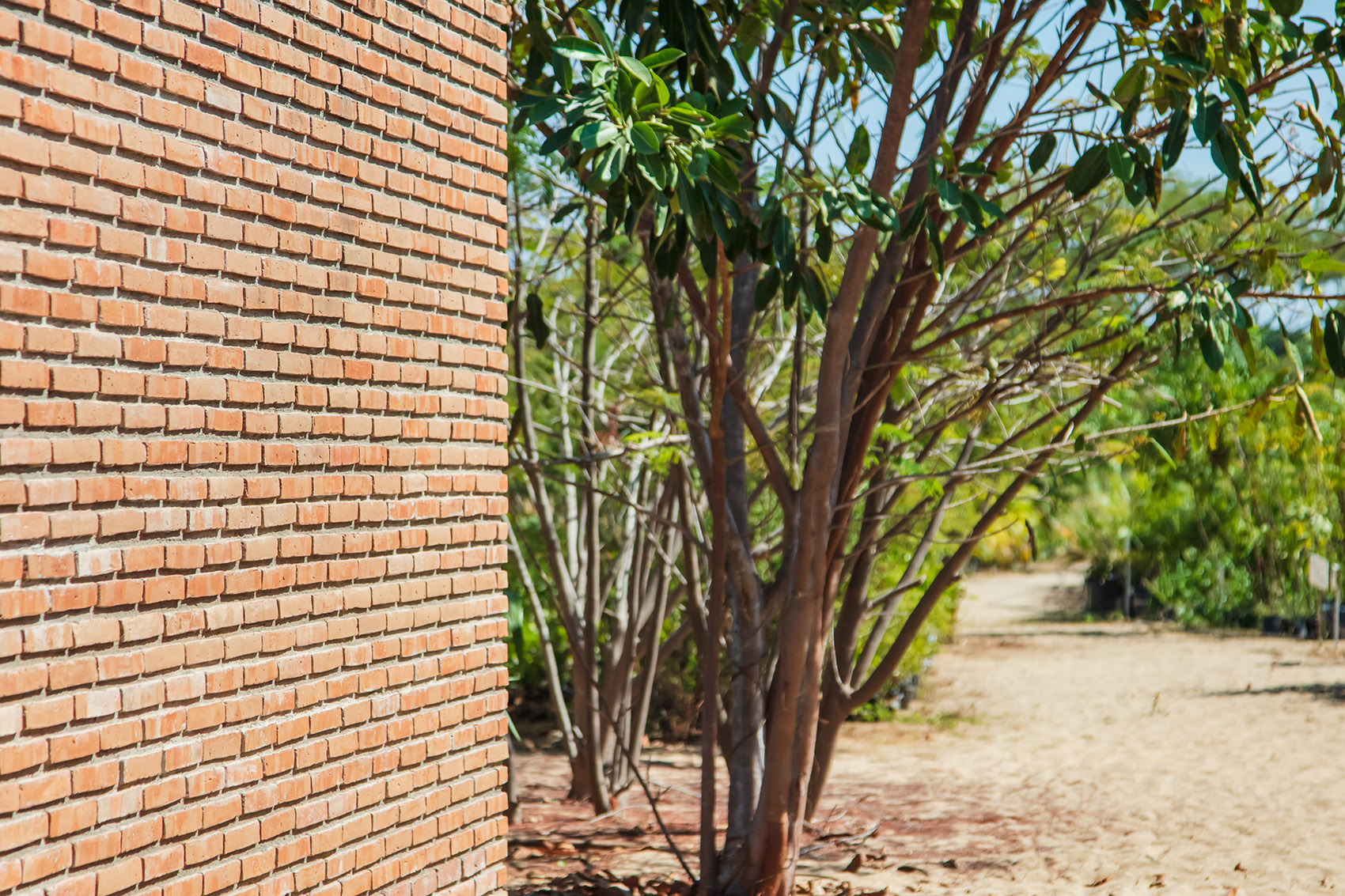 粘土展馆丨墨西哥瓦哈卡丨Alvaro Siza-96