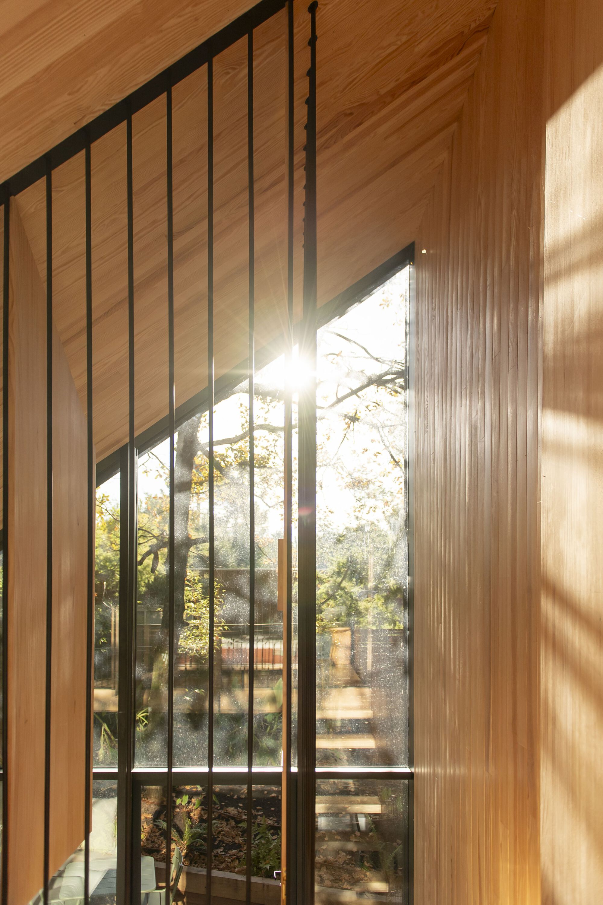 树屋丨法国丨OECO Architectes-32