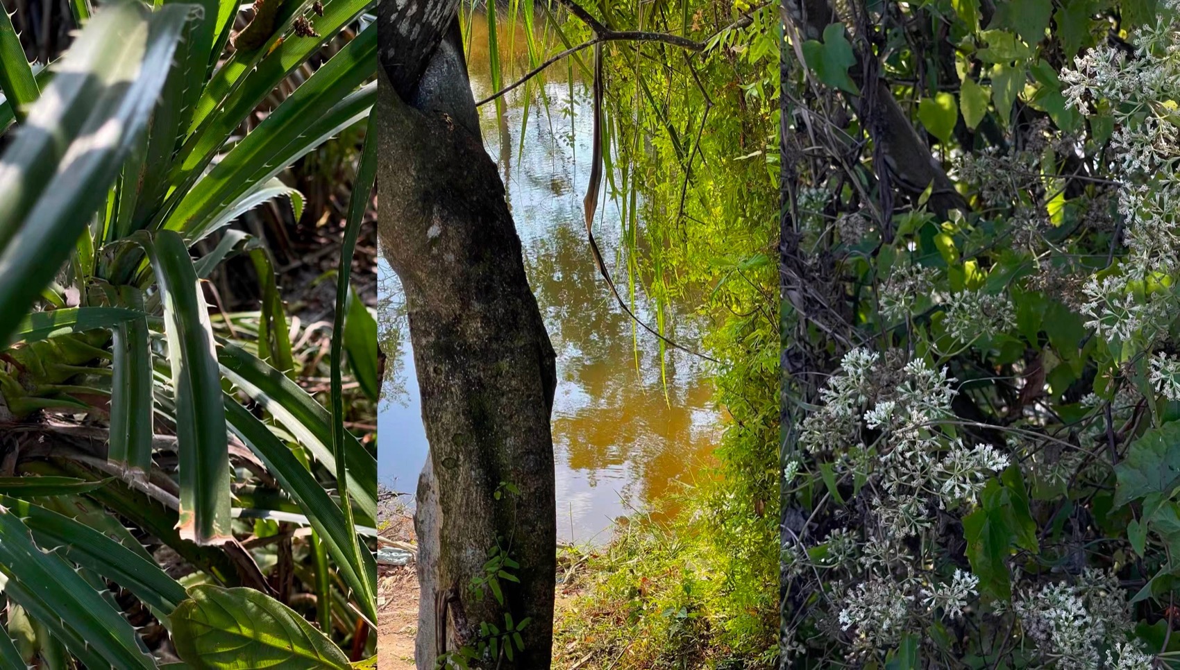 麓湾水集丨中国万宁丨昱道景观-118