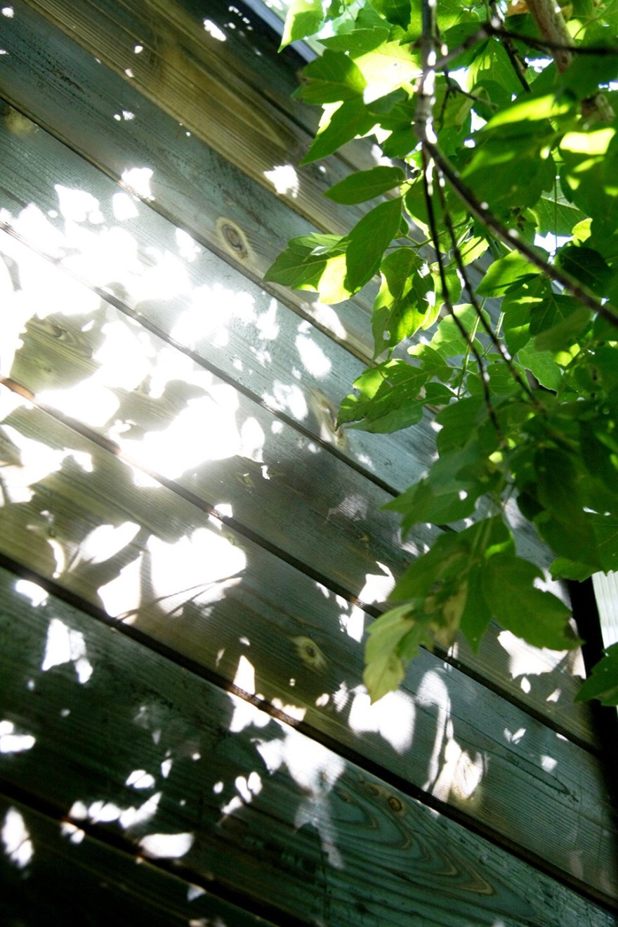 Home Away 住宅 | 共享温室里的现代生活-19