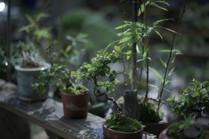 素居之韵 | 古意生活的审美追求与室内设计-9