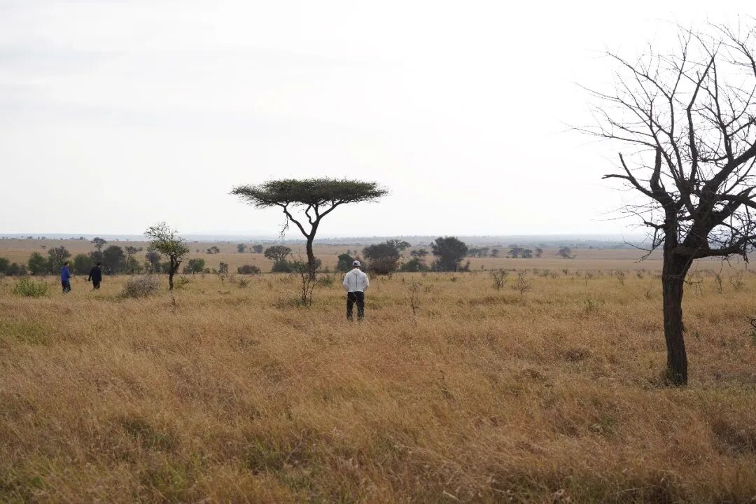 非洲考察1|初抵塞伦盖蒂-63