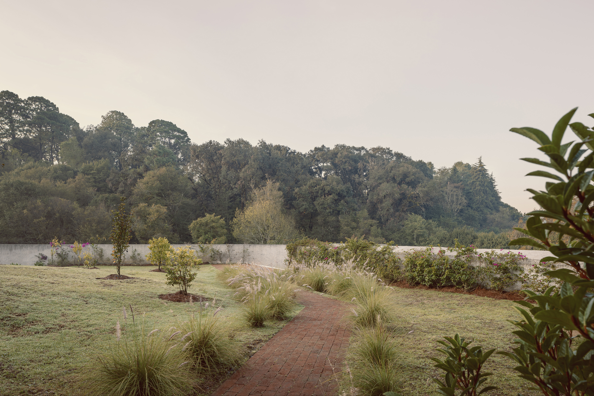 丨墨西哥丨Sebastián Mancera + Taller 3000-31