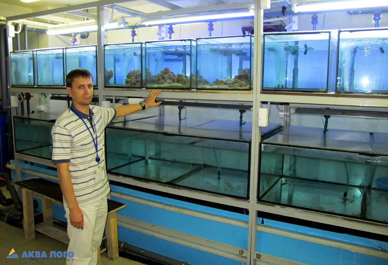 贝尔戈罗德大型海洋水族馆丨Аква Лого инжиниринг-18