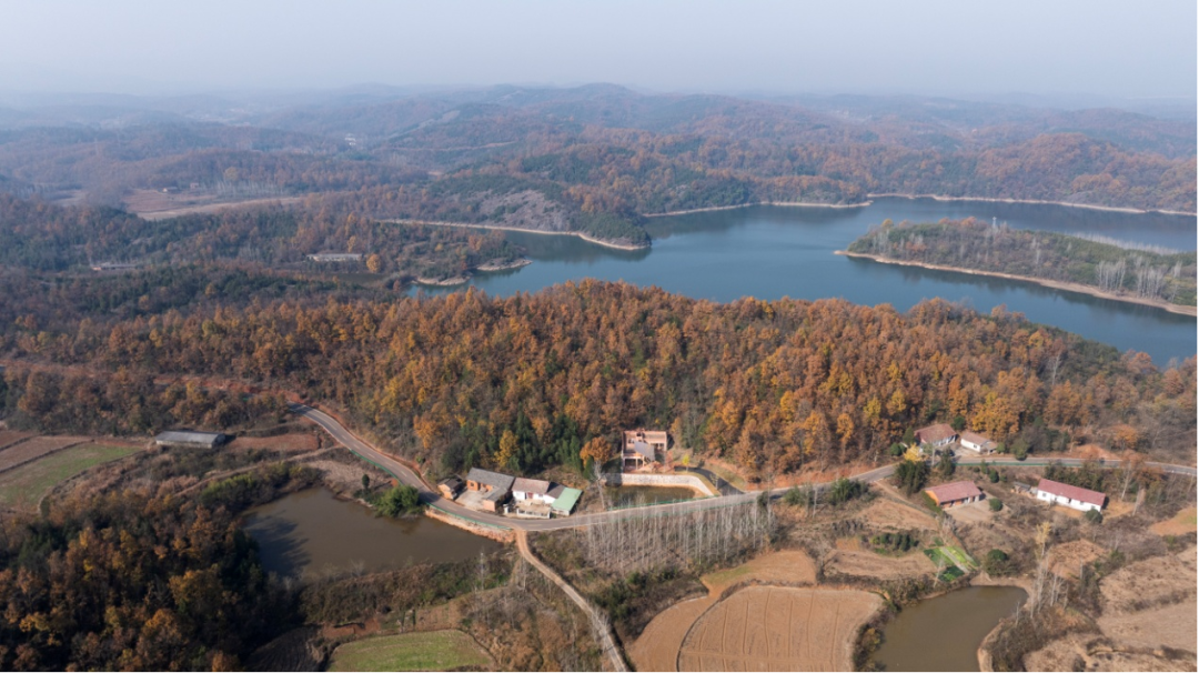 随县和美中心-4