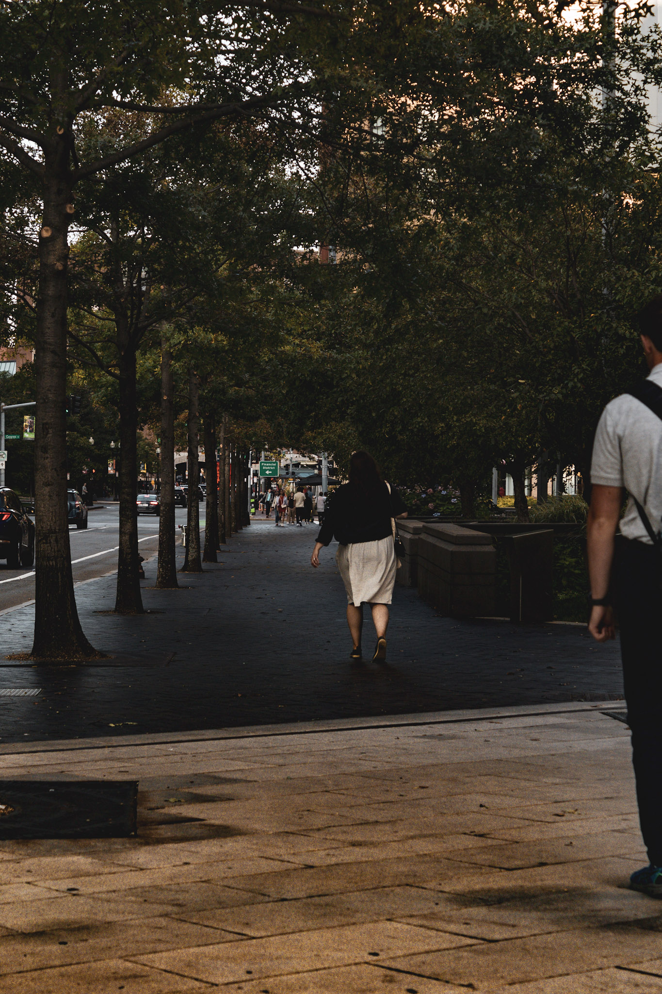 CityScapes Pt. 2 (Downtown Boston, MA)-6