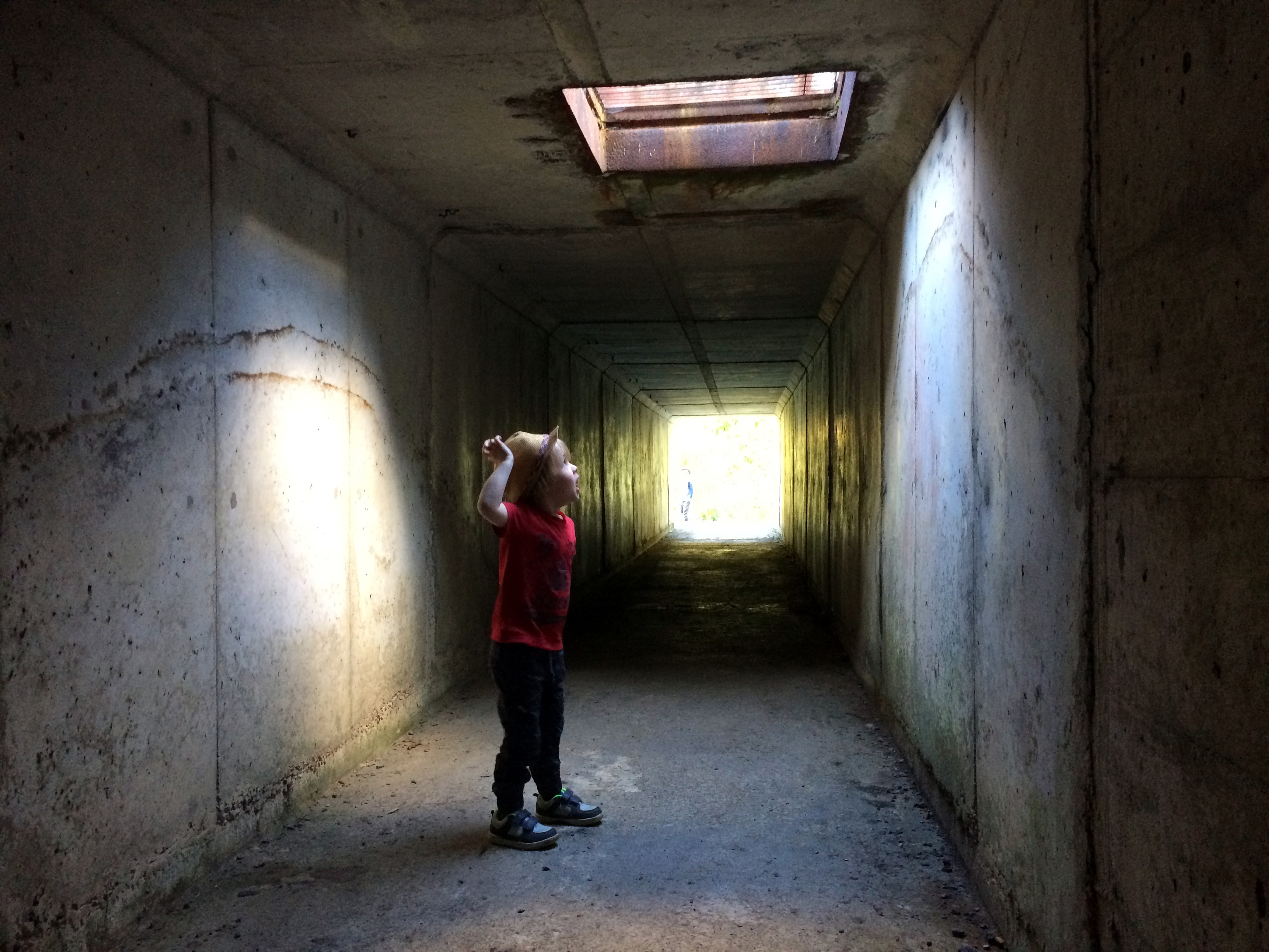 丨无相关信息-15