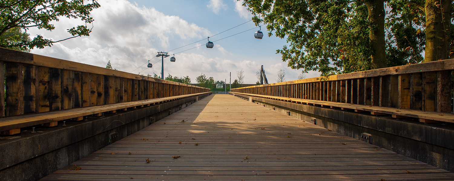 阿尔梅勒弗洛拉迪国际园艺博览会及后续开发项目丨荷兰阿尔梅勒丨MVRDV,ZUS,DP6等-0