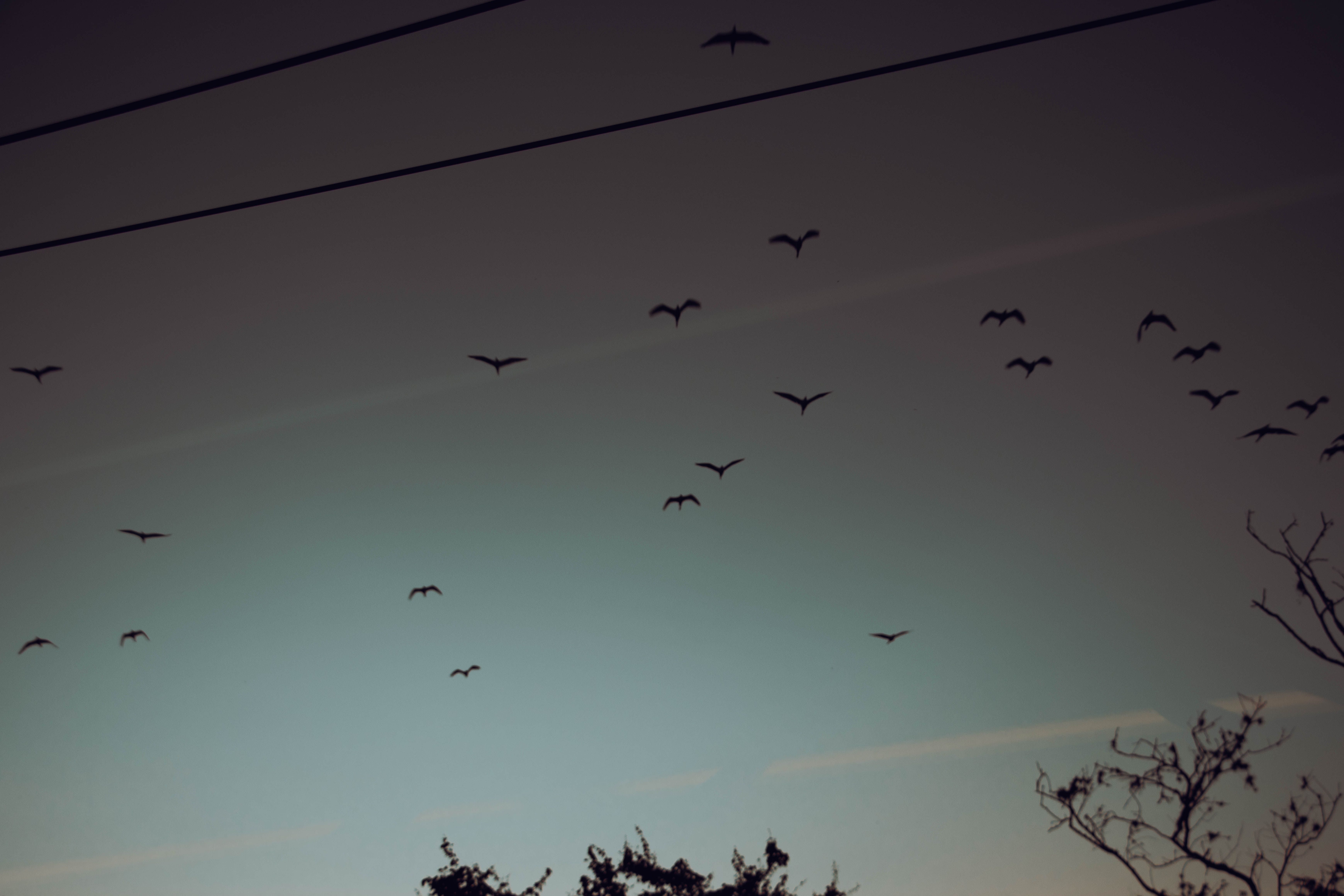 CIELO GRIS - MEDELLIN #2-0