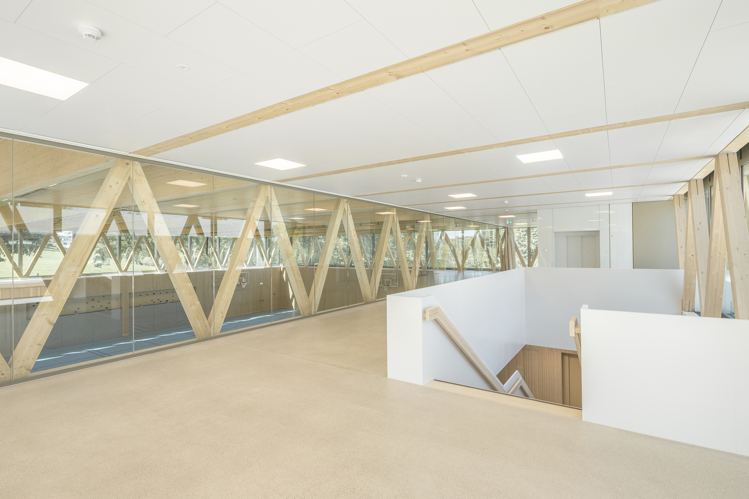 瑞士新校舍和体育馆丨Rykart 建筑股份公司-22