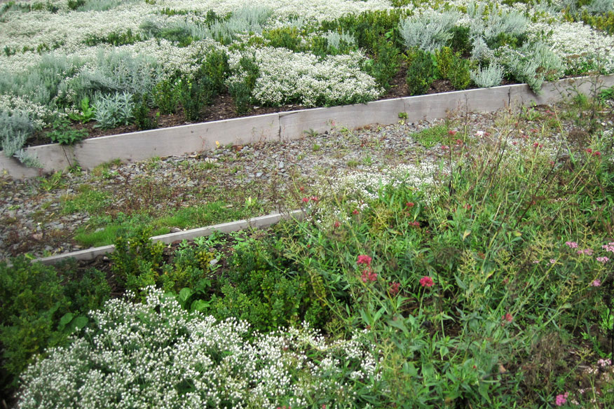 Abdij van Villers  la  Ville新访客路线项目-29