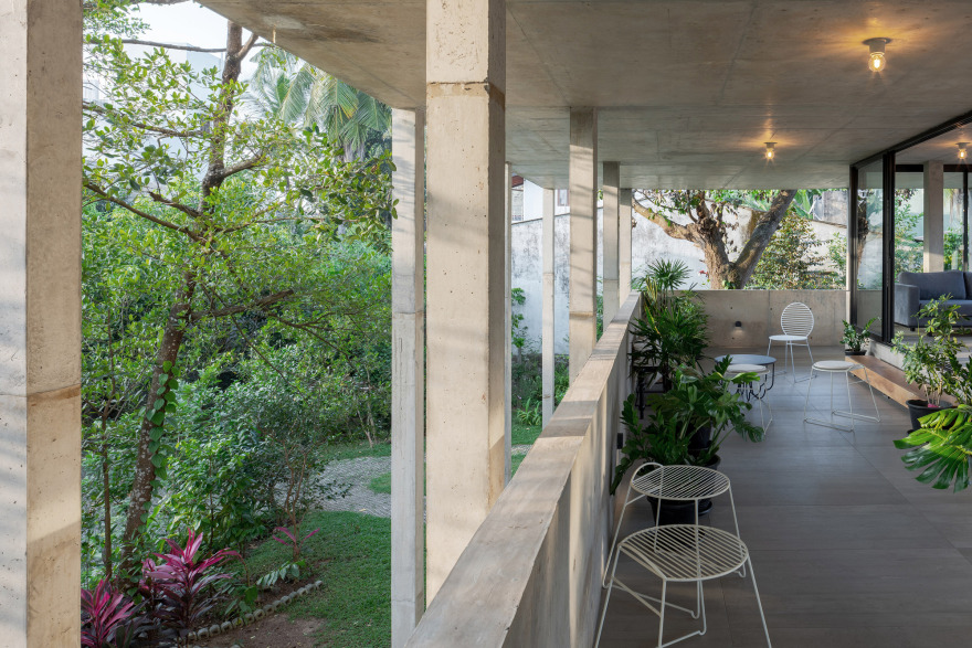 大树小植物屋丨Read Studio-47