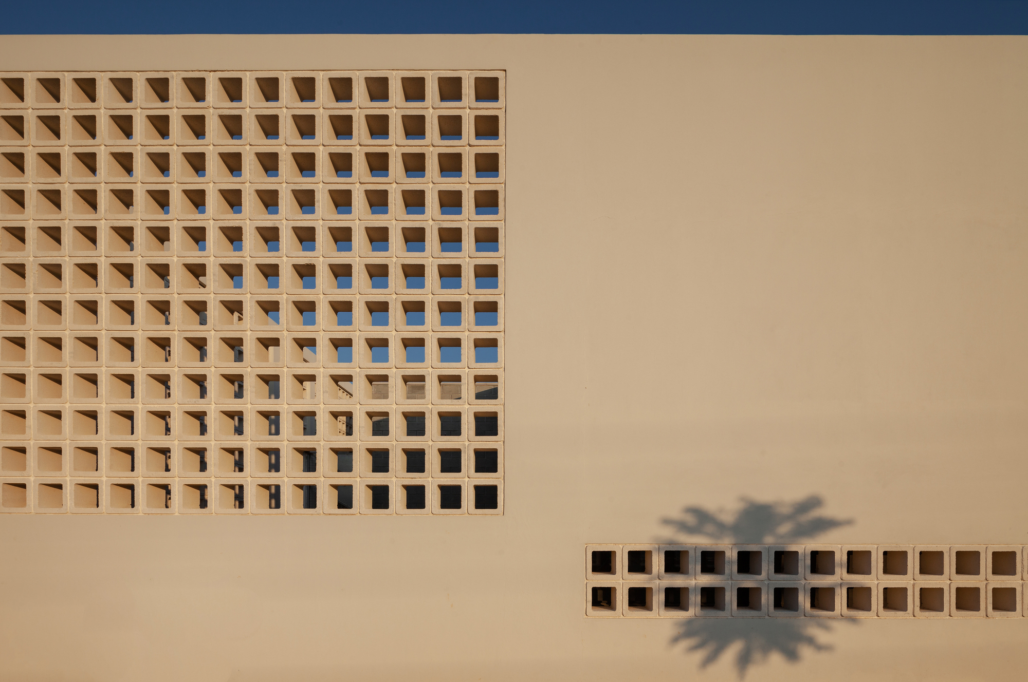 A House with Four Gardens / draftworks architects-37