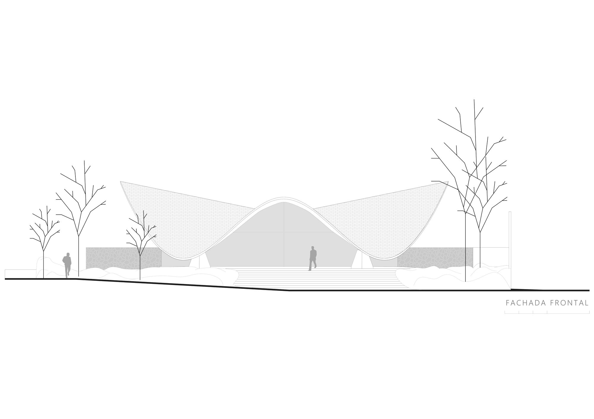 阿米巴分公司（注：Ameba常见指阿米巴，Branch有分公司、分支机构之意，结合常见语境如此翻译） 丨巴拉圭丨BAUEN-41