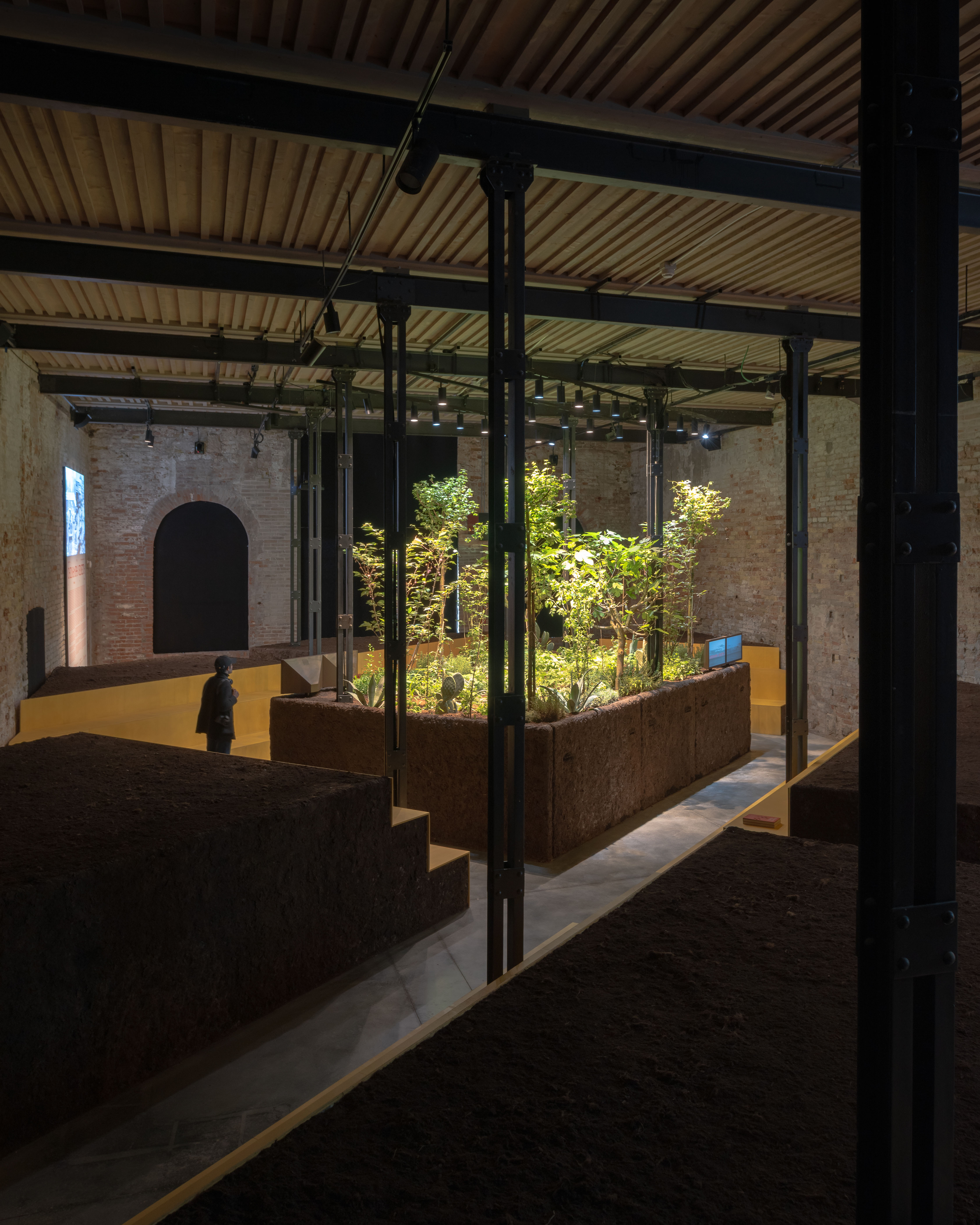 第 19 届威尼斯国际建筑双年展：墨西哥馆，探索古老农业系统的生态潜力-19