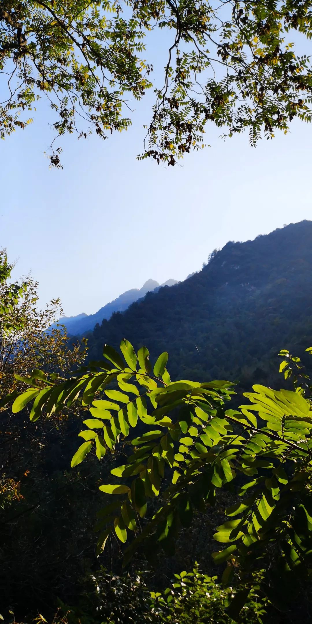 终南山书院 | 回归自然的诗意栖居-32