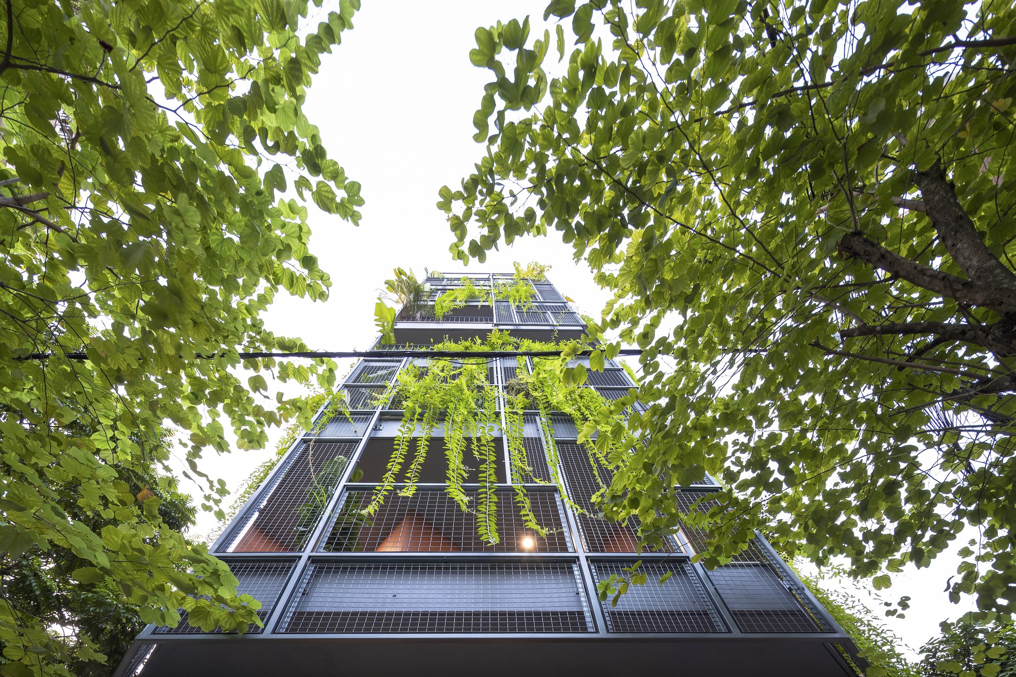 毫升屋丨越南河内丨007studio-13