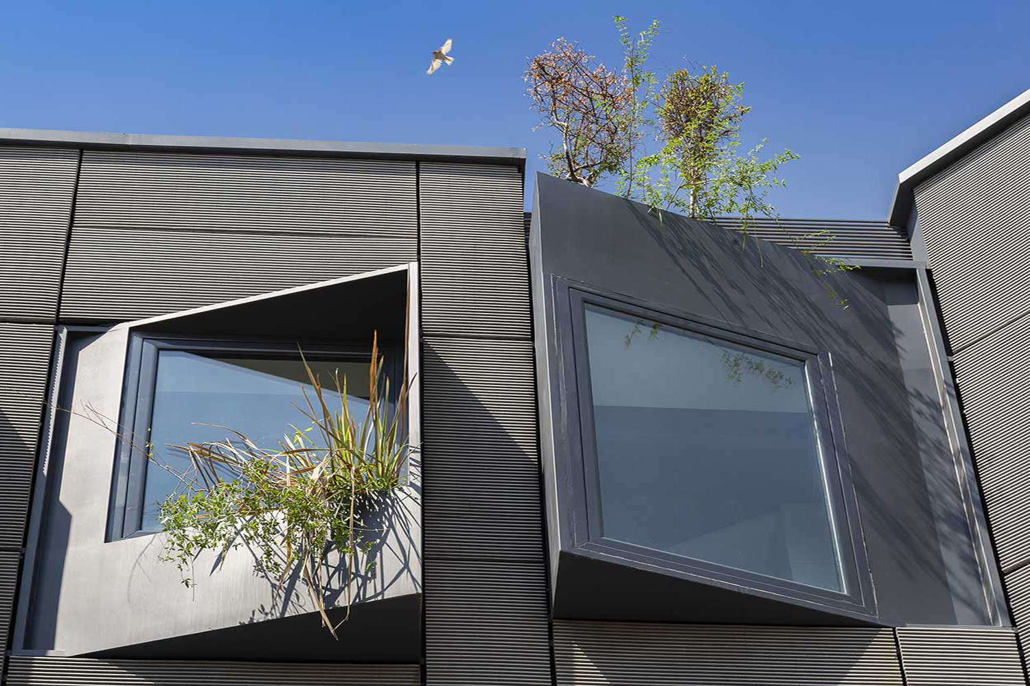 公寓住宅化学花园（前后）丨阿什阿里建筑团队-65