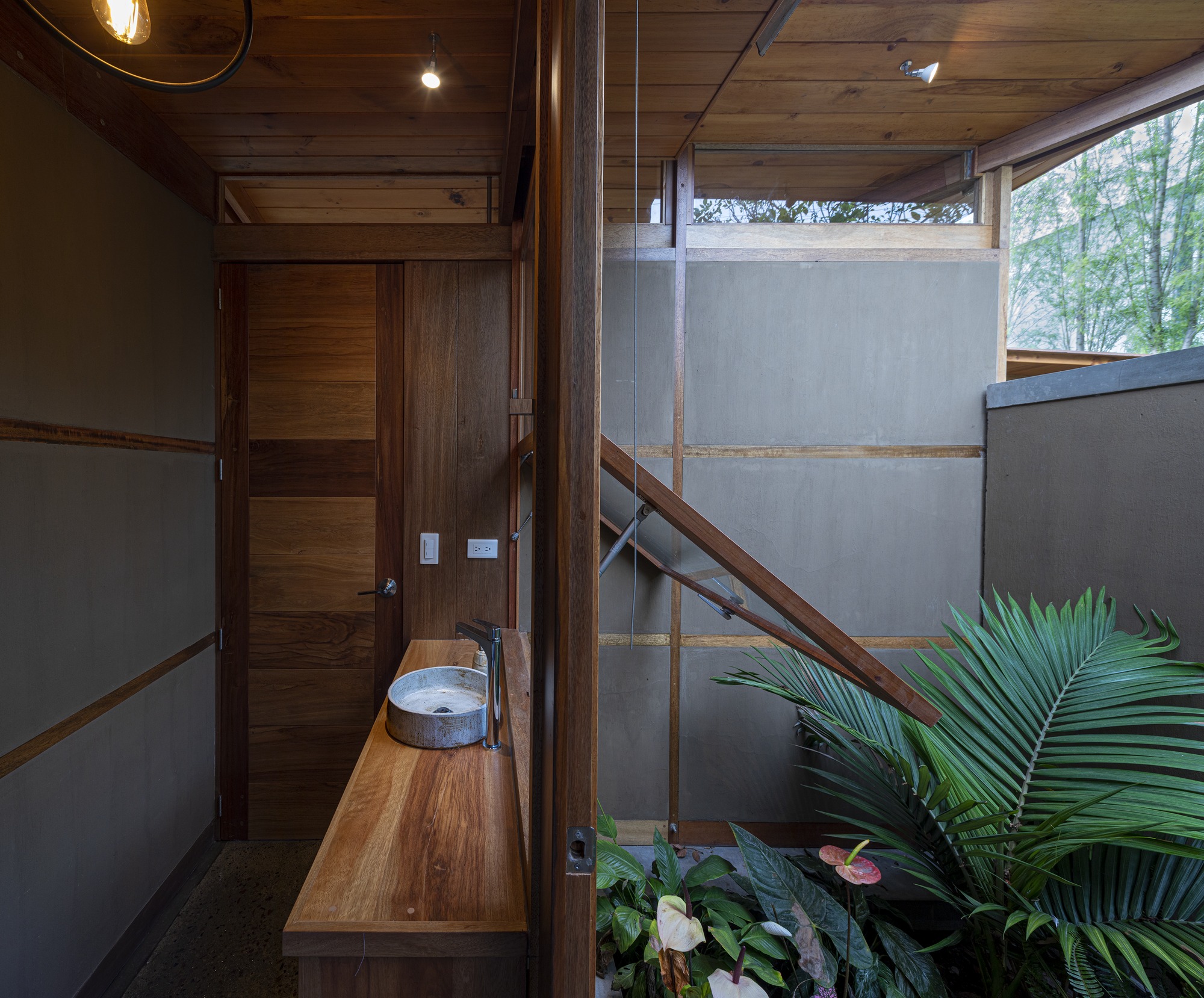 House Among Trees / El Sindicato Arquitectura-39