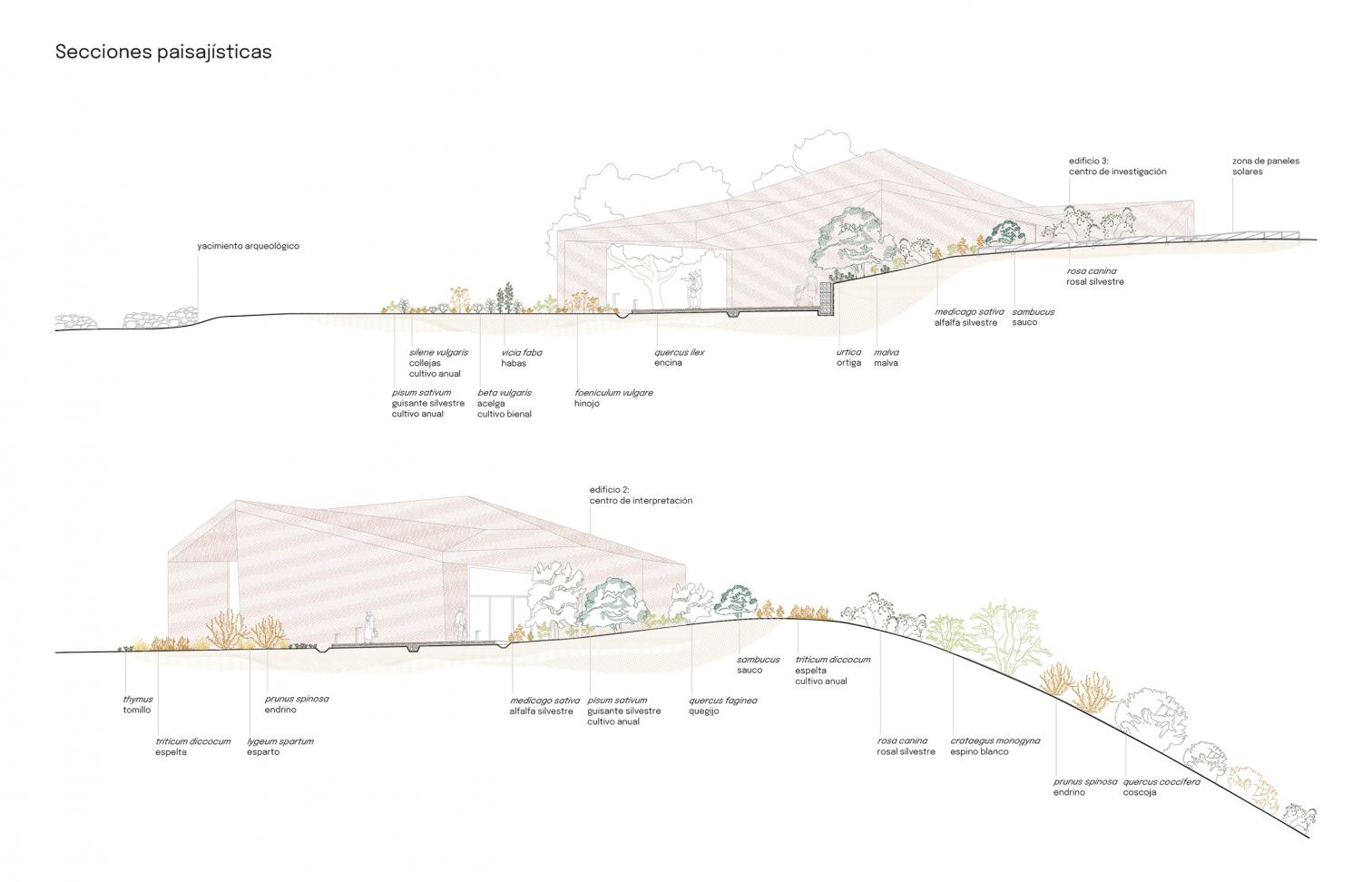 马德里 Gon Architects 打造环保考古中心 | Piedra y Tierra-12