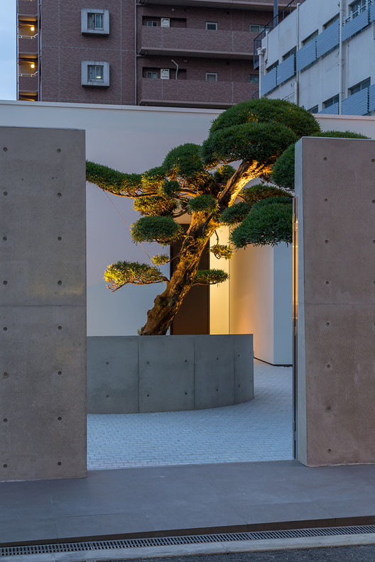 House with Podocarpus  Yasutoshi Mifune + Toru Atarashi-1