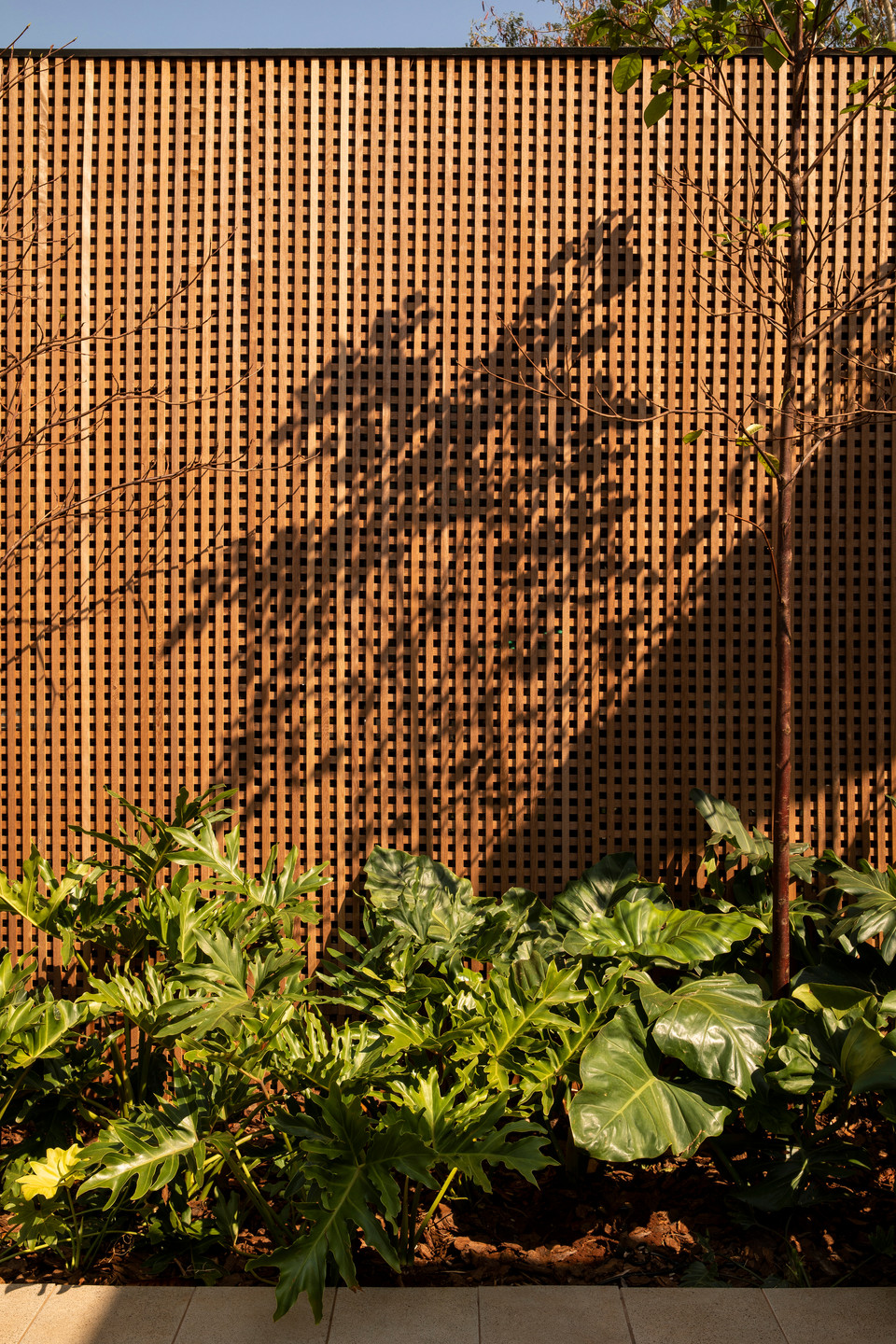 半屋丨巴西丨mf+arquitetos-17