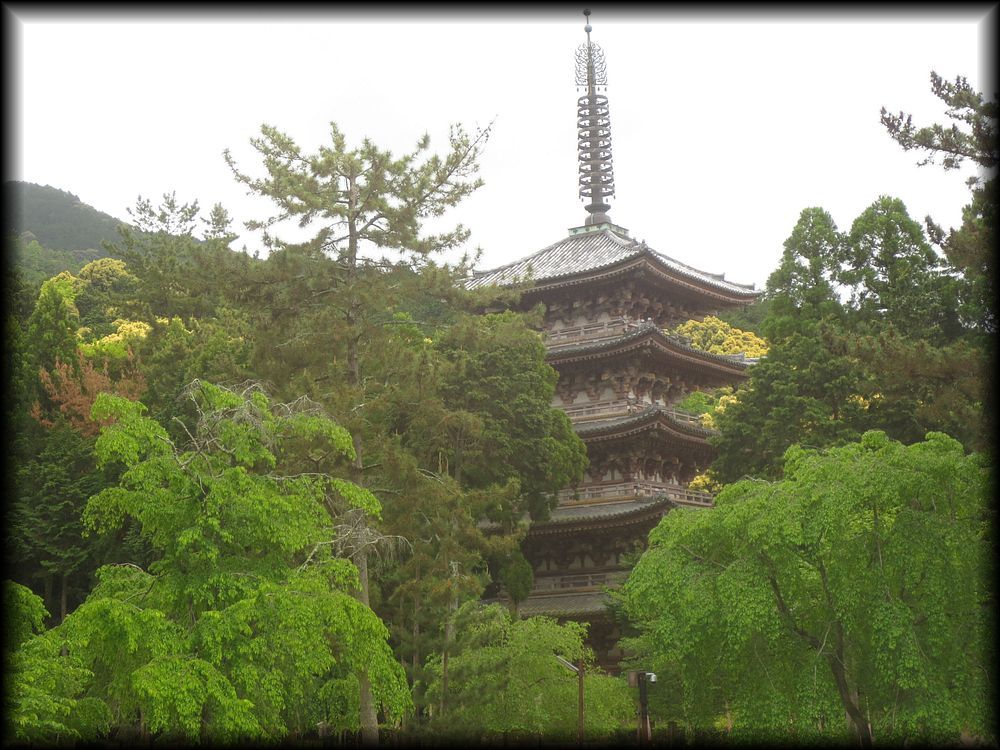 醍醐寺金堂・五重塔及三宝院庭園丨日本京都-17