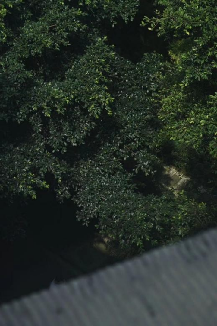 Clarify与自然共生丨中国成都丨回声空间-61