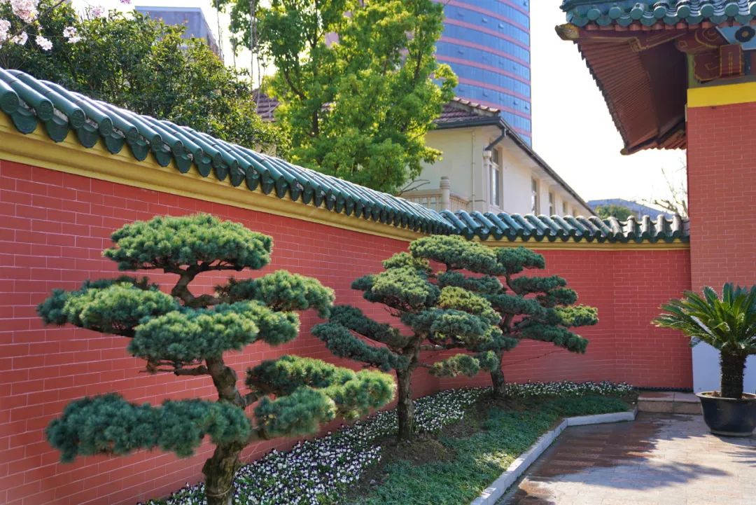 上海交通大学徐汇校区华山路入口景观提升设计丨中国上海丨上海亦境建筑景观有限公司,上海交通大学设计学院风景园林研究所-41