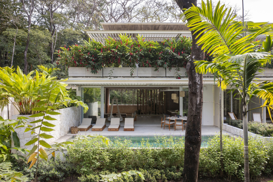 糖屋丨哥斯达黎加丨Studio Saxe-12