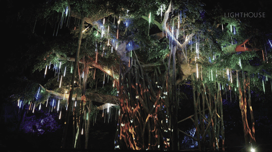 新昌狐巴巴探索星球-7