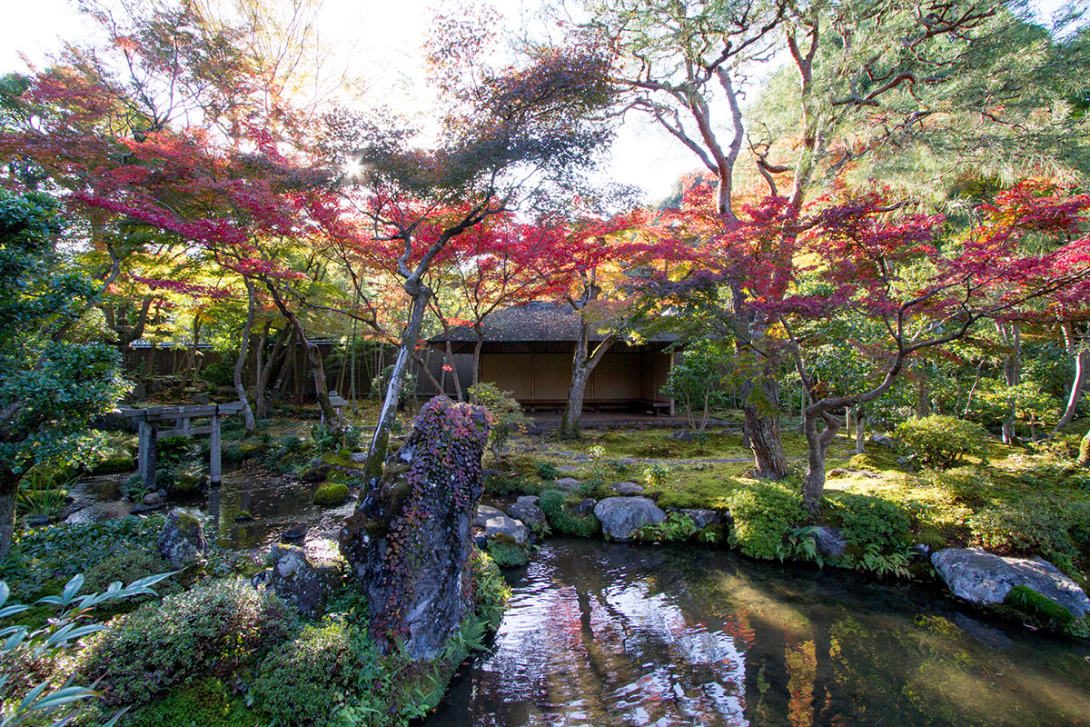 旧时气韵，现代延承 | 植彌加藤-73