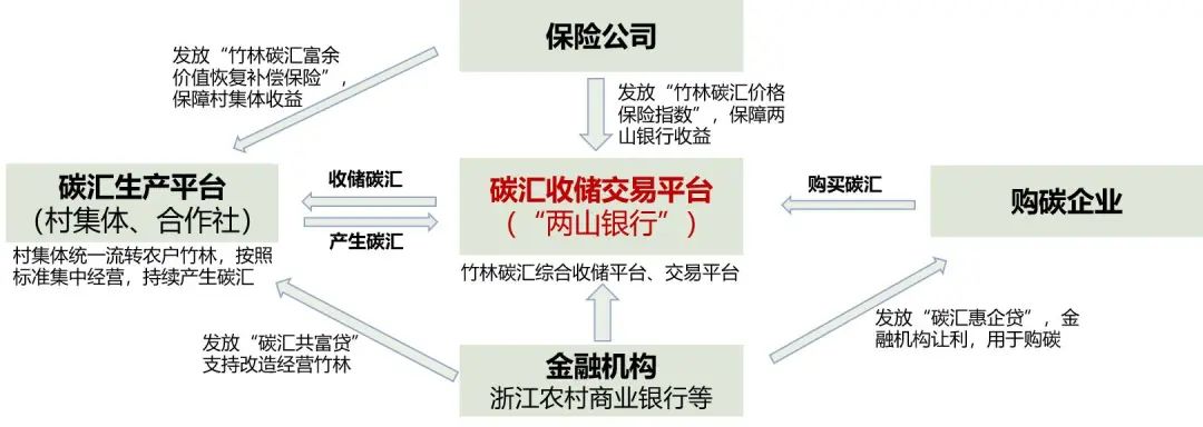 竹林资源生态产品价值实现路径丨中国重庆丨西南分院-43