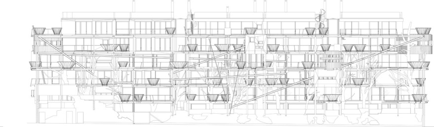 都灵 25 号绿园 · 创新树屋设计丨意大利都灵丨卢西亚诺·皮亚-27