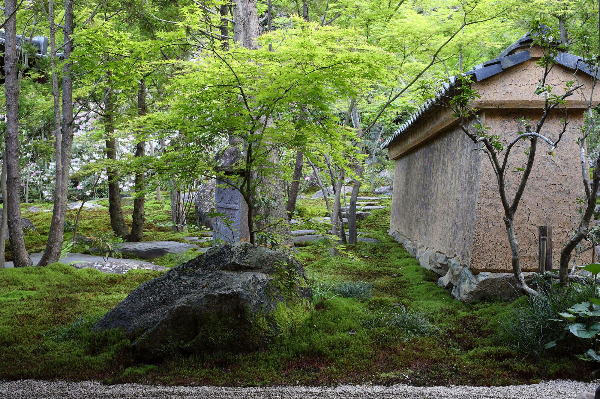 德荣寺 紫音庵丨日本福冈丨Masumi Yanase Architect Office-1