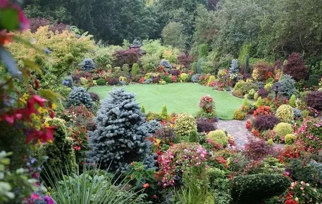 7旬夫妻用24年建绝美花园 全球花友慕名来“探花”-13