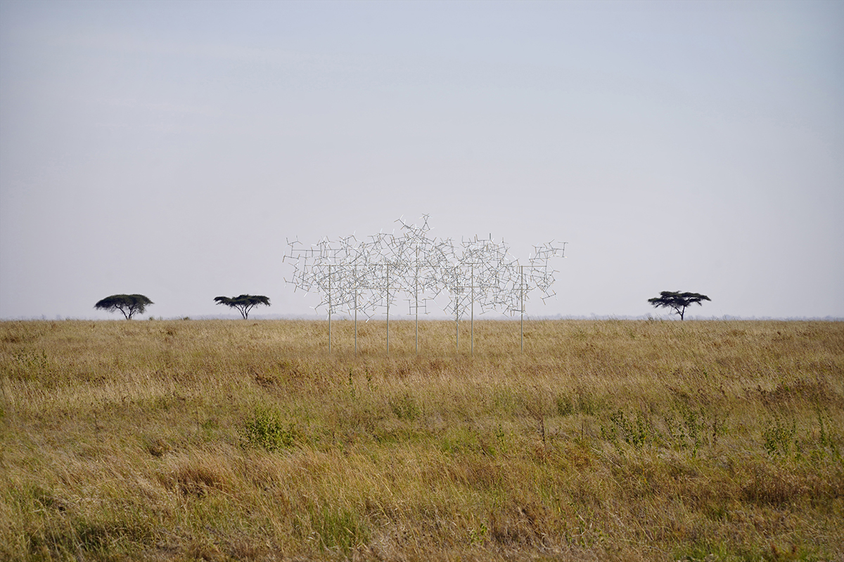 《分形群集》丨坦桑尼亚丨Vincent Leroy-4