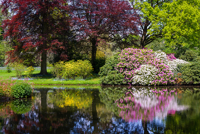 丨英国英格兰丨爱德华·乌尔（Эдвард Ульд）-33