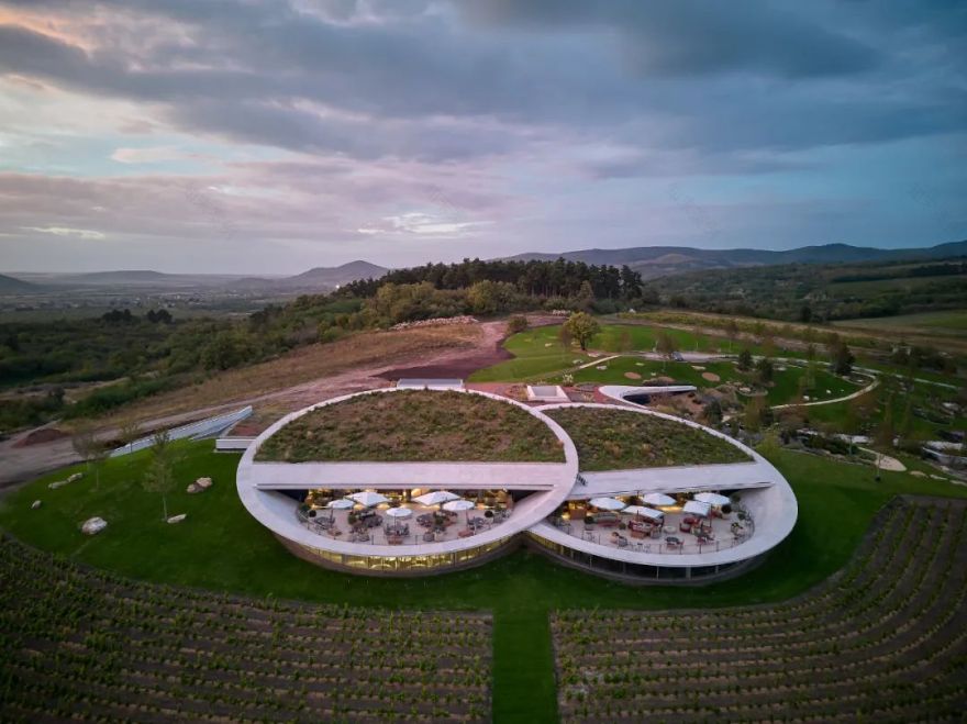 绍什卡·托卡伊酒庄丨匈牙利-15