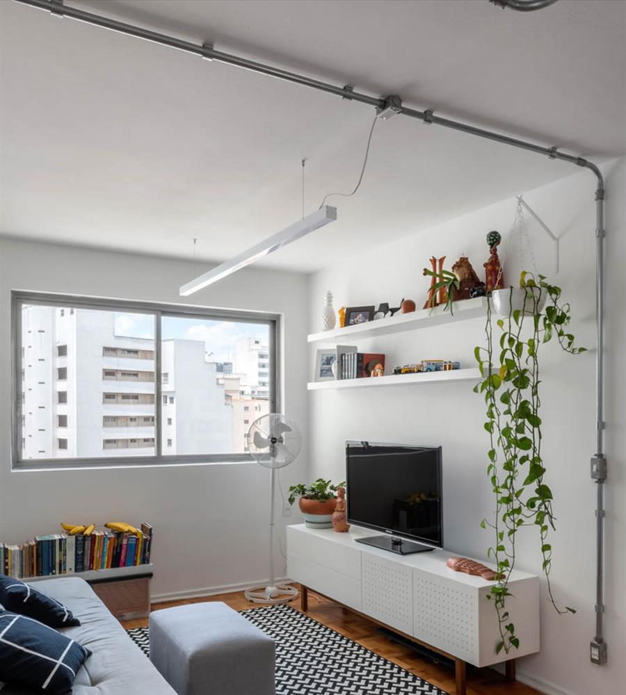 Apartamento 7·7 的"城市丛林"-4