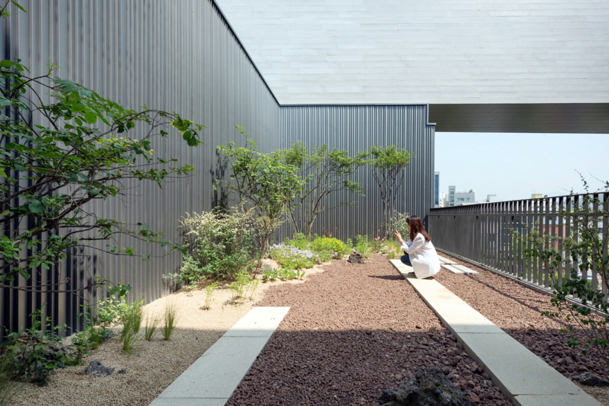 城市公寓中的“小森林”-14